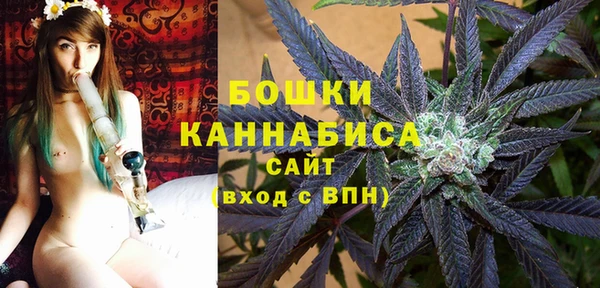 прущие грибы Абаза
