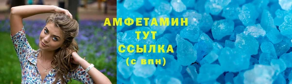 прущие грибы Абаза