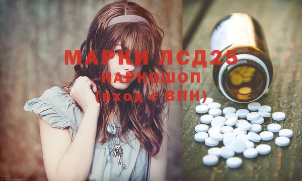 прущие грибы Абаза