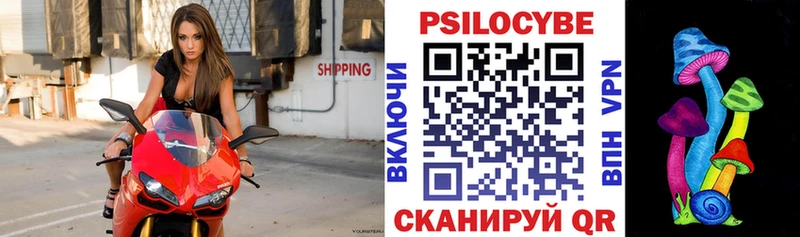 Галлюциногенные грибы прущие грибы  Нижнекамск 